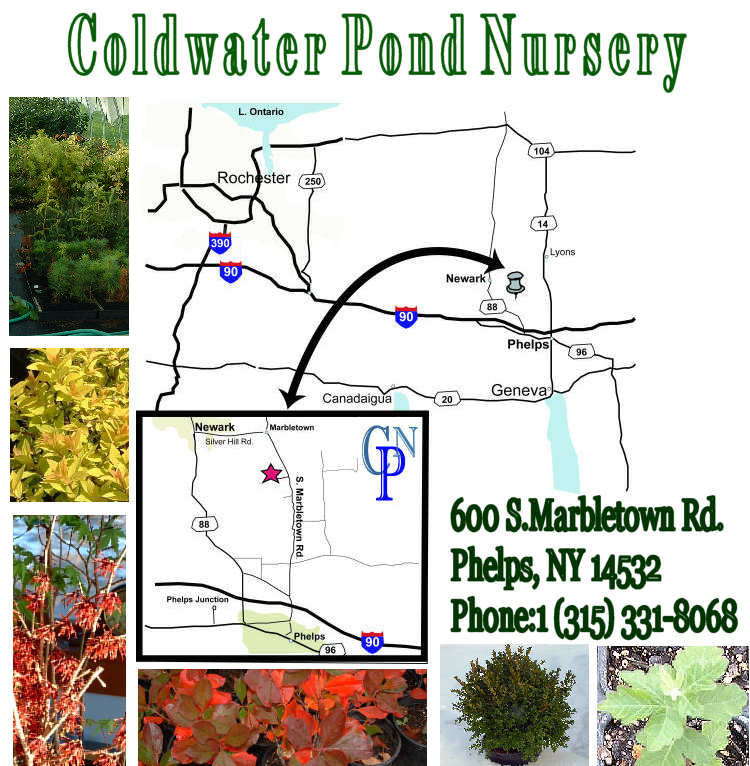 CPN Map-600 S Mabletown Rd Phelps, NY (315) 331-8068